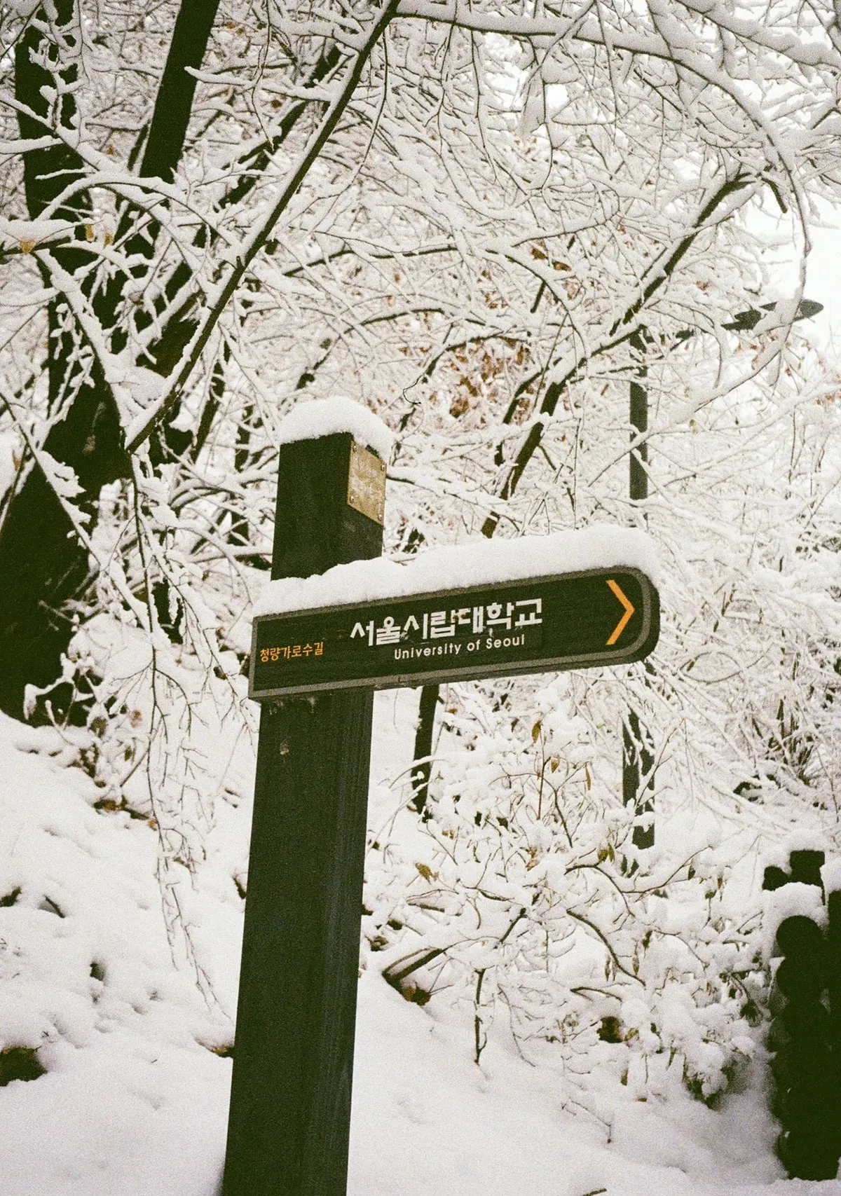 A snow-covered signpost pointing to the University of Seoul, with Korean and English text